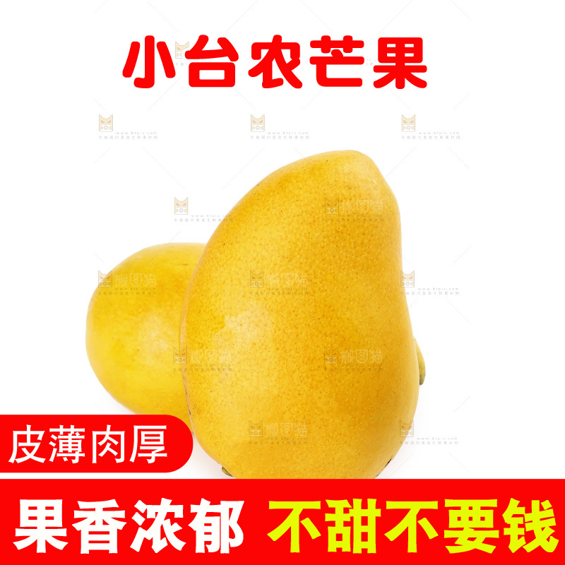 白底上的小台芒