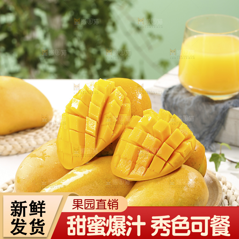 浅底上的小台芒