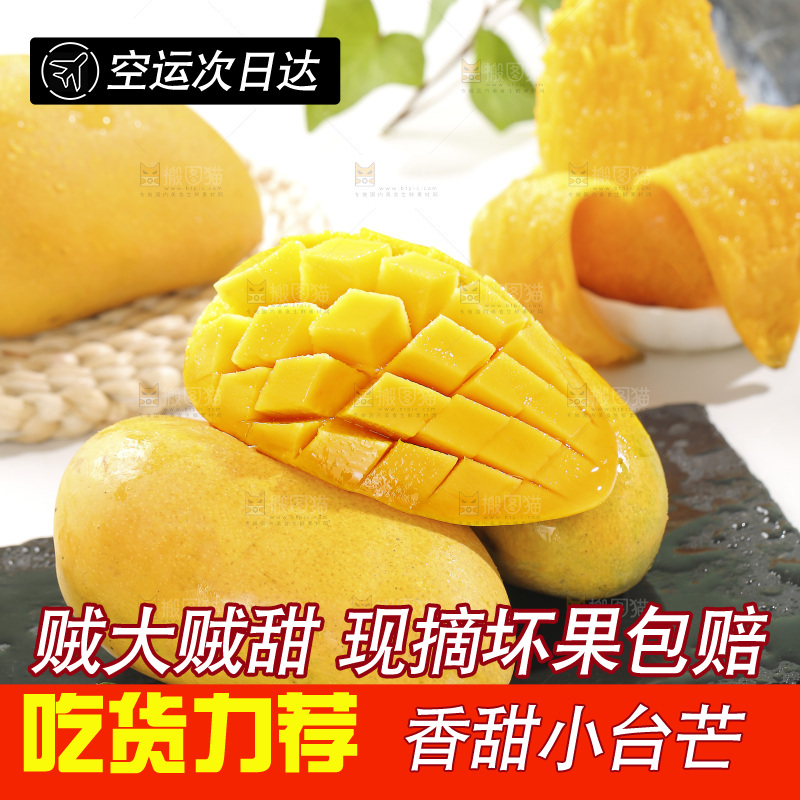 浅底上的小台芒