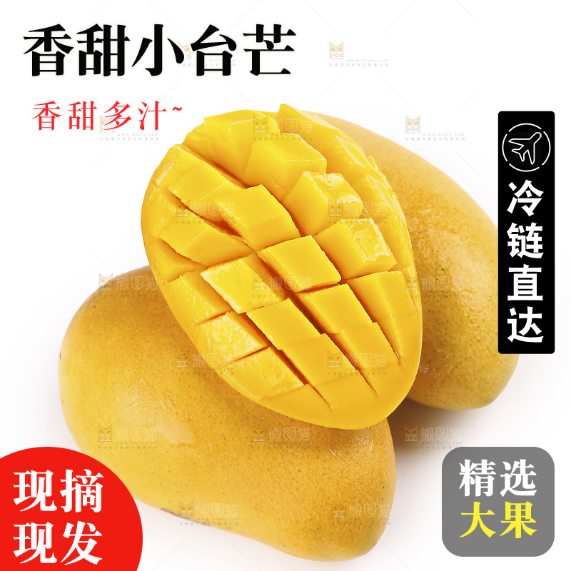 白底上的小台芒