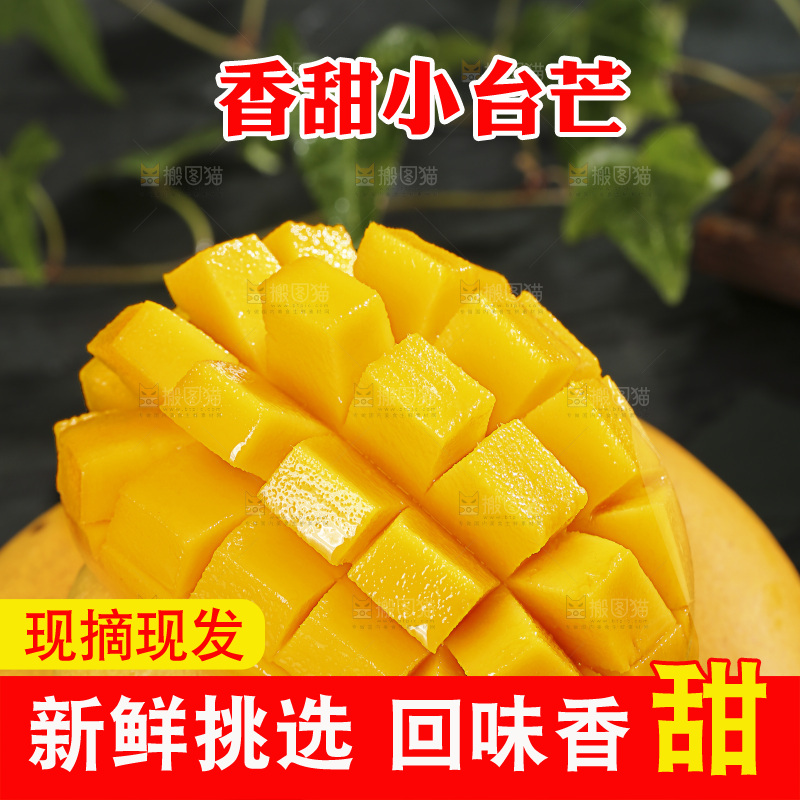 深底上的小台芒
