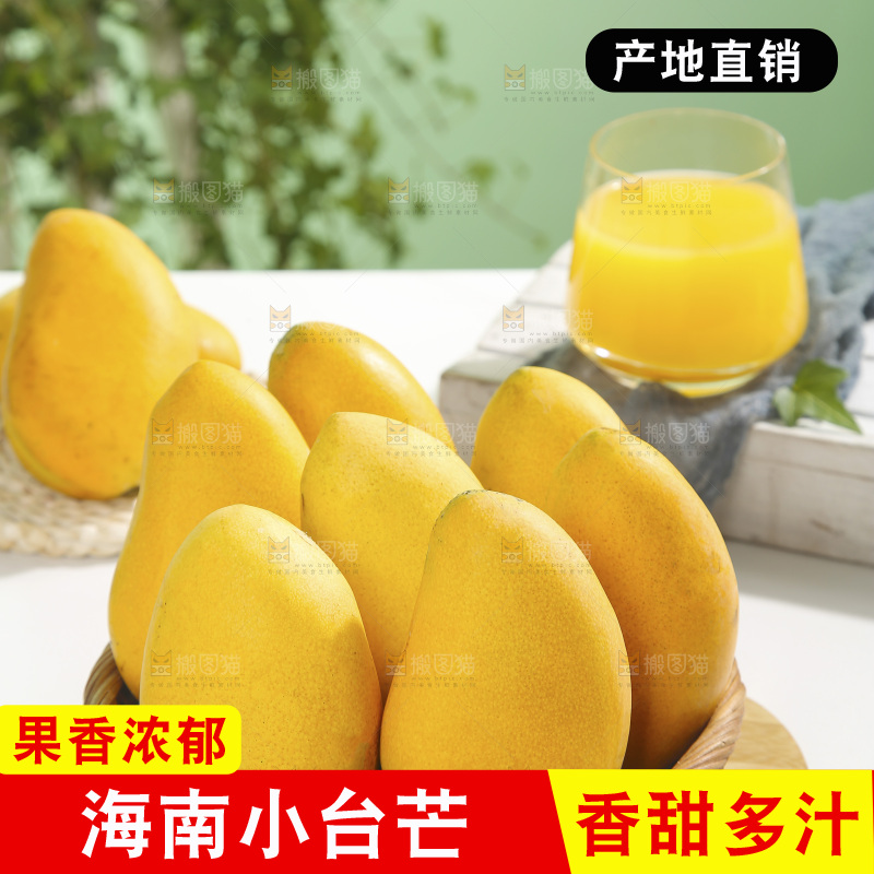 浅底上的小台芒