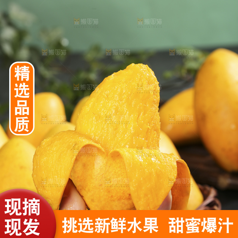 深底上的小台芒