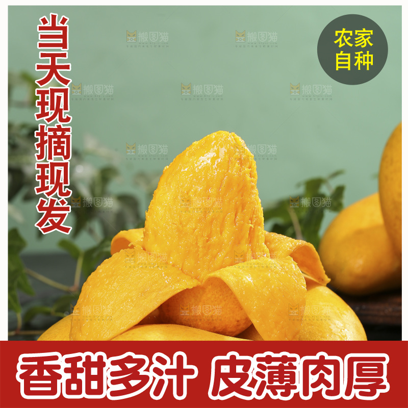深底上的小台芒