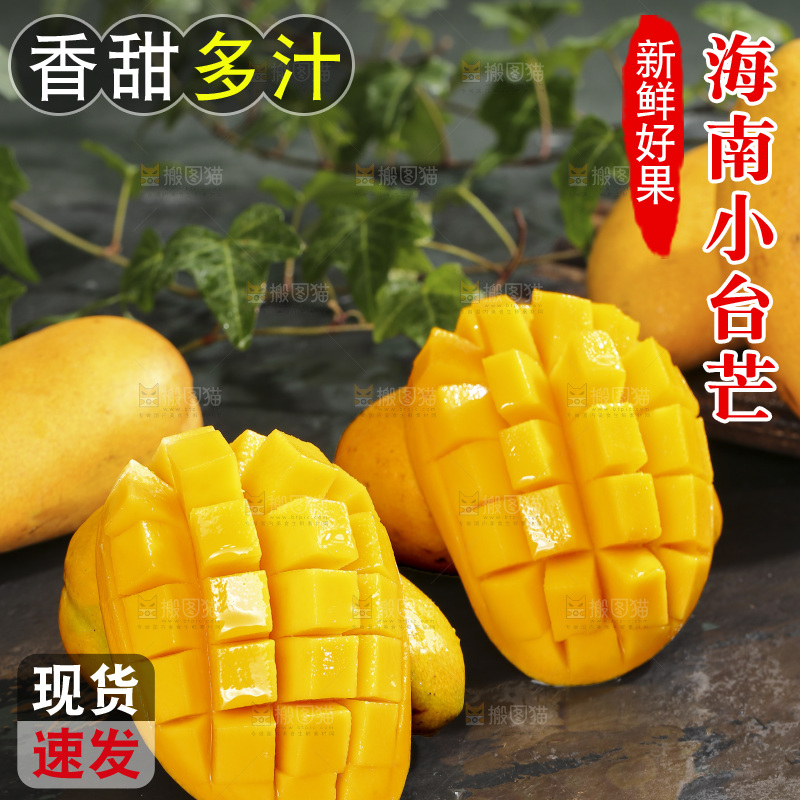 深底上的小台芒