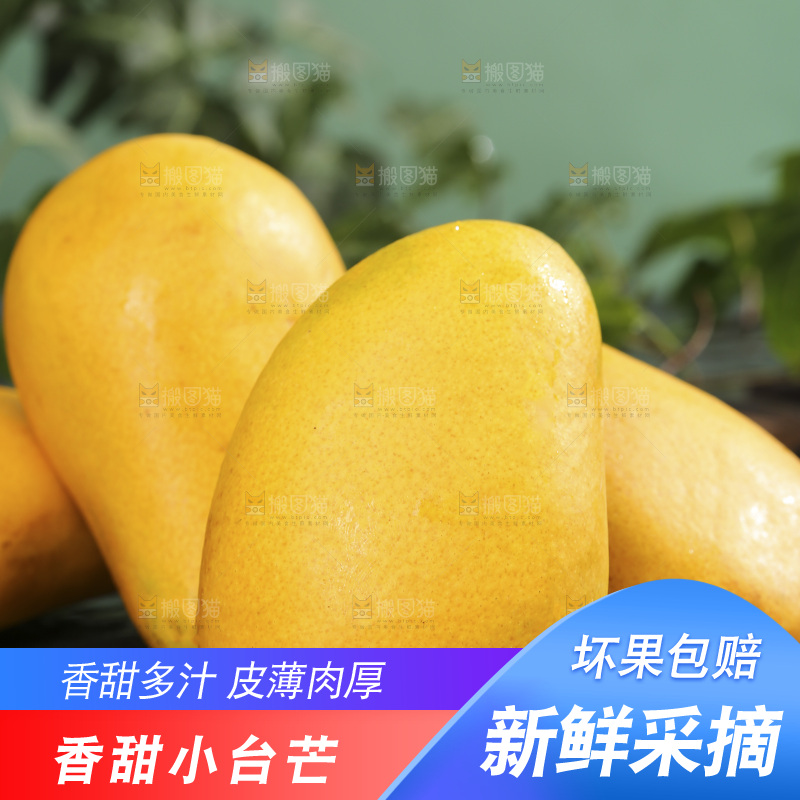 深底上的小台芒