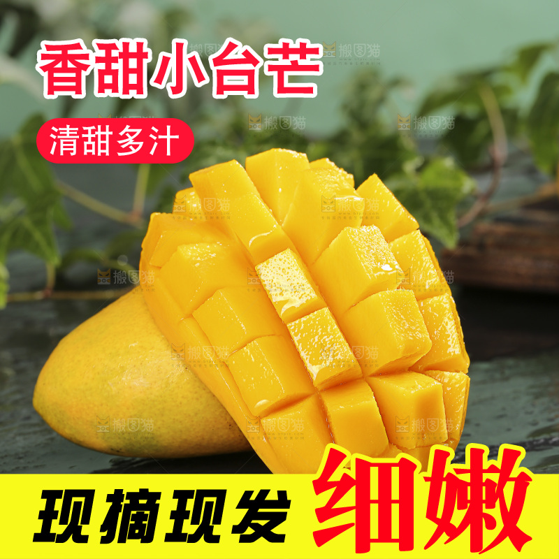 深底上的小台芒