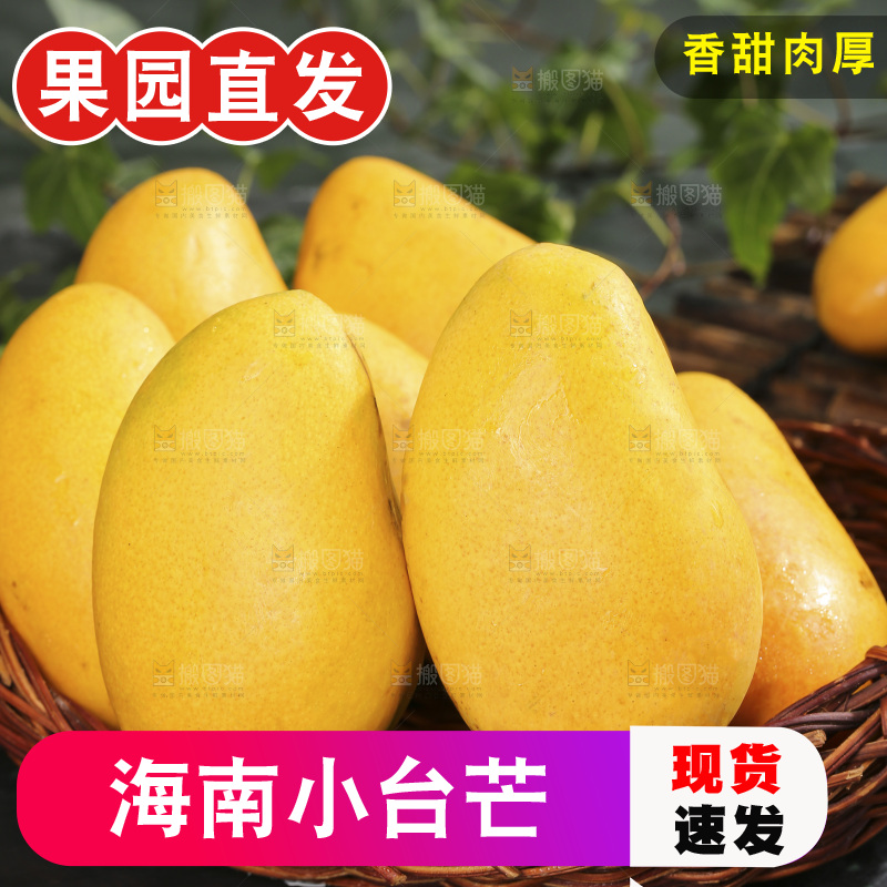 深底上的小台芒
