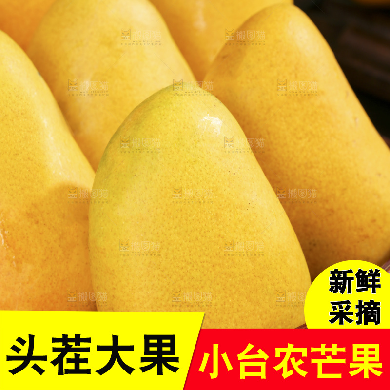 深底上的小台芒