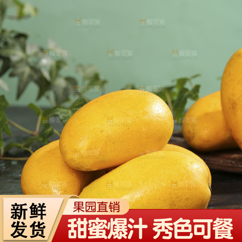 深底上的小台芒