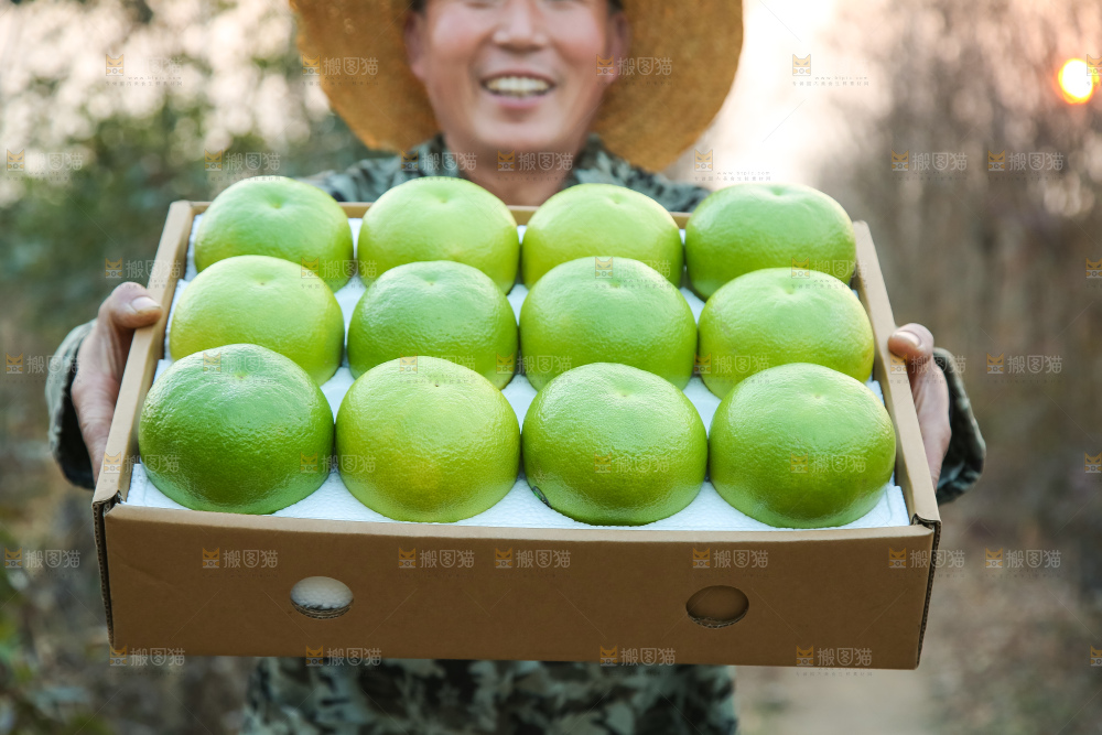 手里拿着青皮葡萄柚