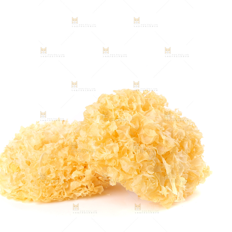 白底上的雪银耳