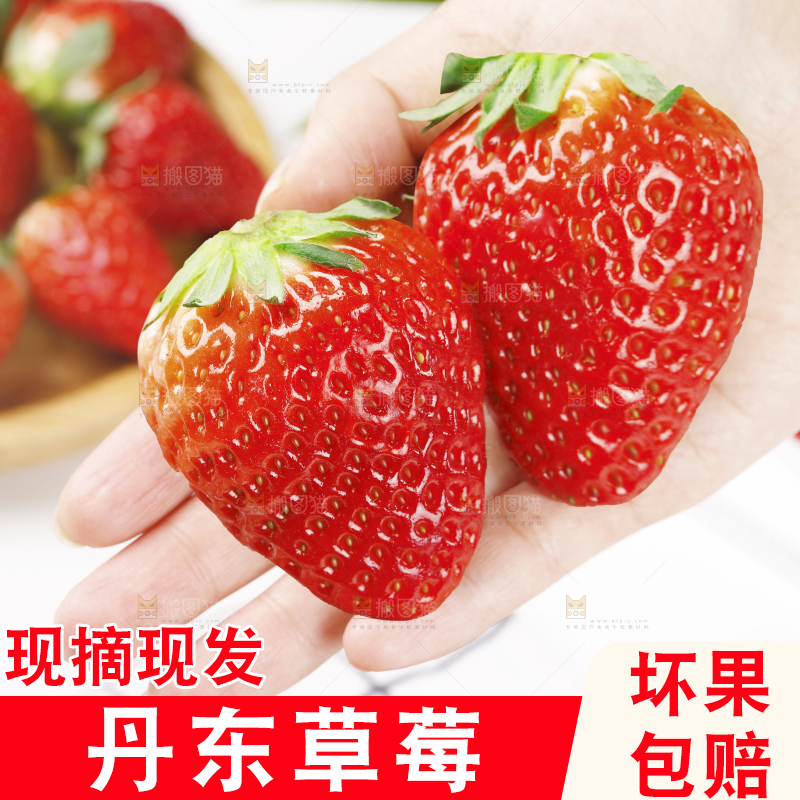 浅底上的丹东草莓