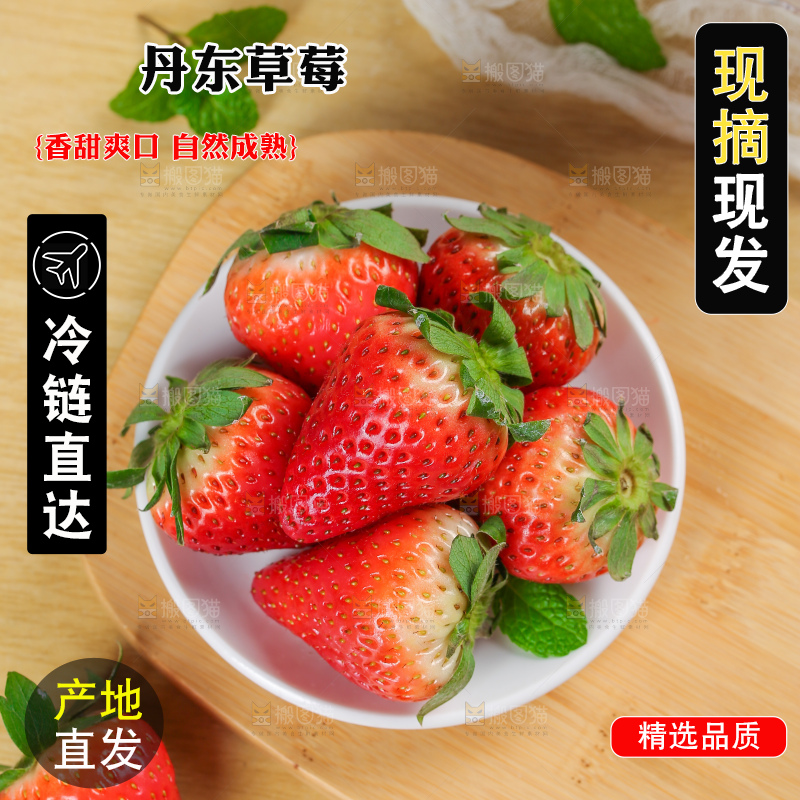 浅底上的丹东草莓