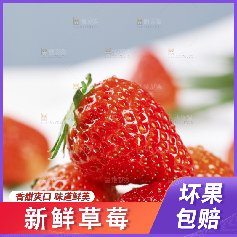 浅底上的丹东草莓