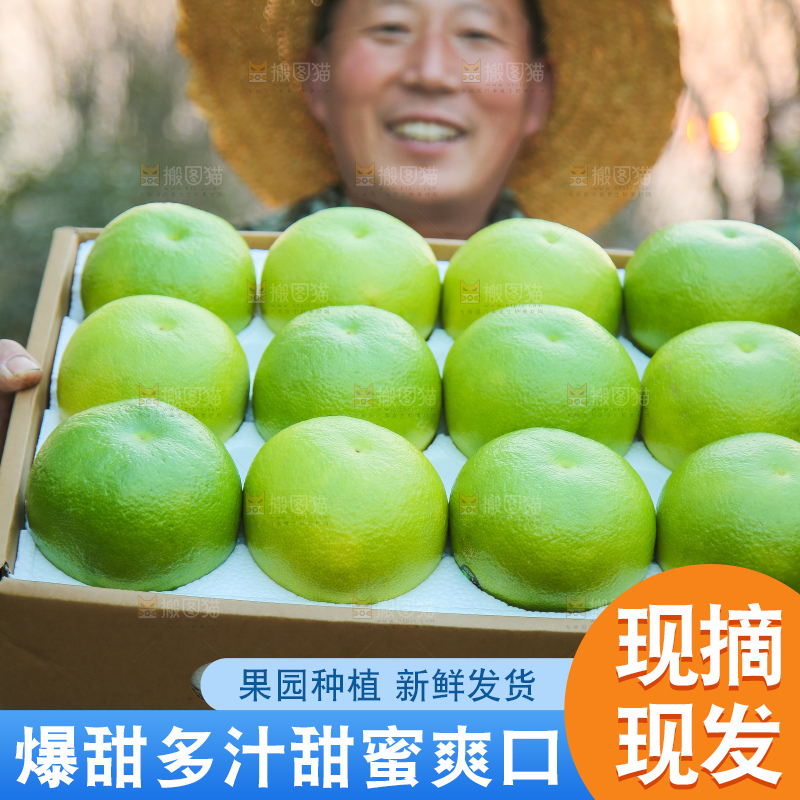 手里拿着青皮葡萄柚