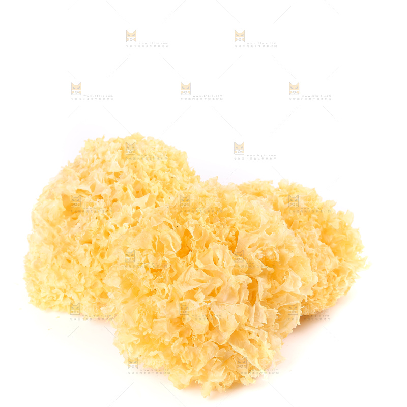 白底上的雪银耳