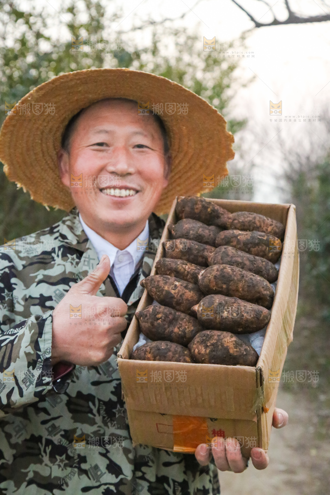 手里拿着新鲜天麻