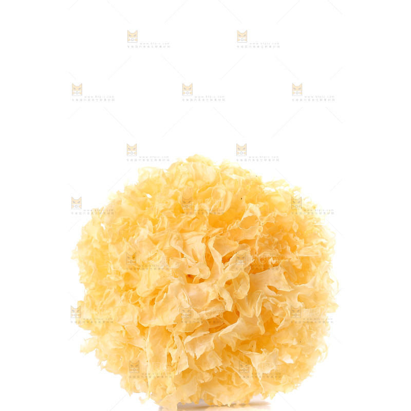 白底上的雪银耳