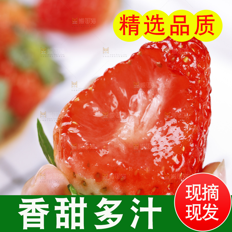 浅底上的丹东草莓