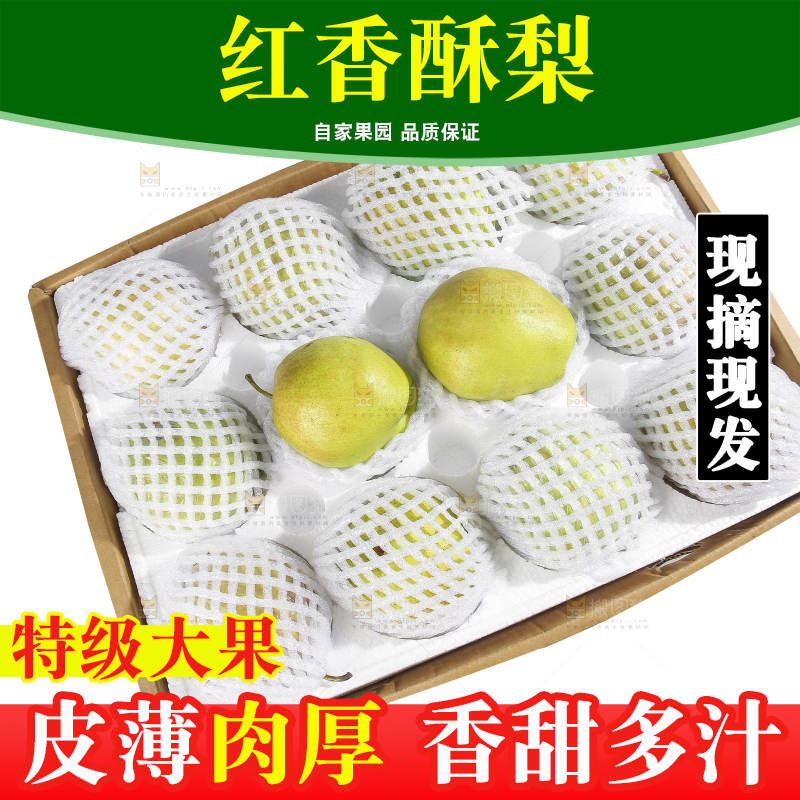 白底上的一盒红香酥梨