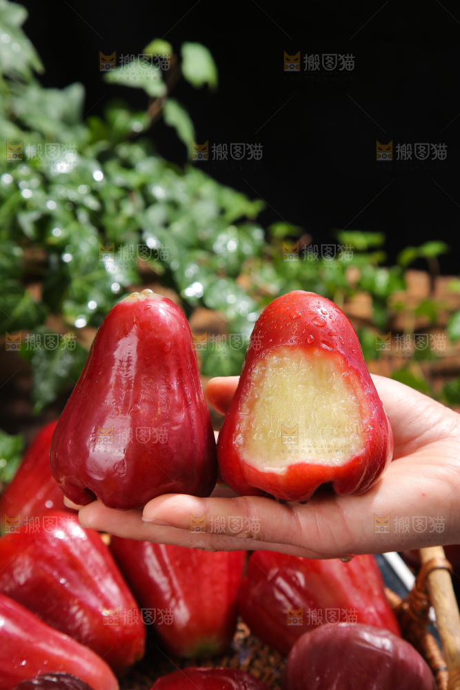 深底上的黑金刚莲雾