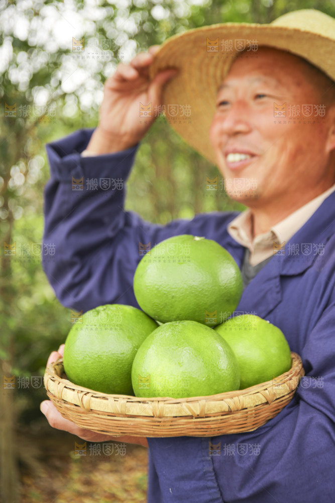 手里拿着青皮葡萄柚