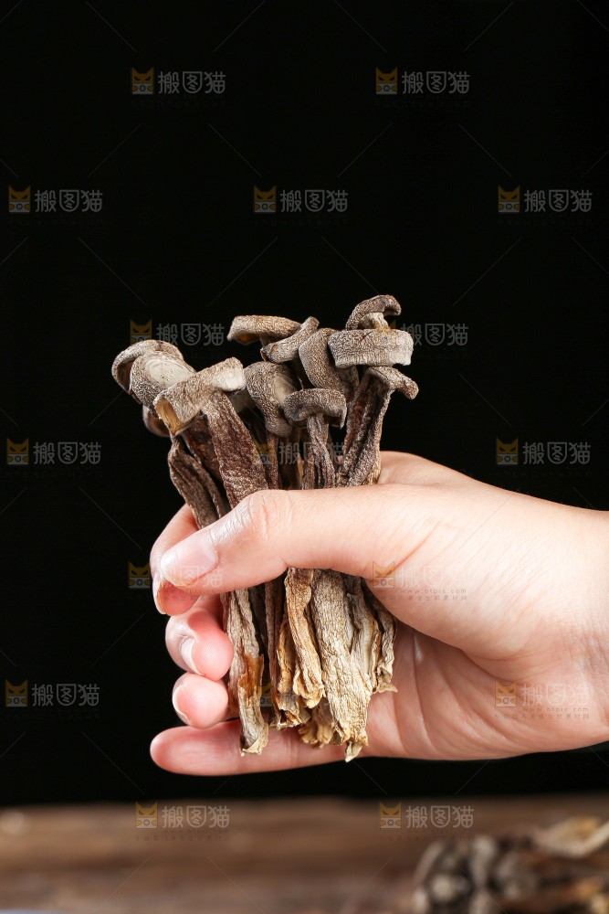 深底上的鹿茸菇