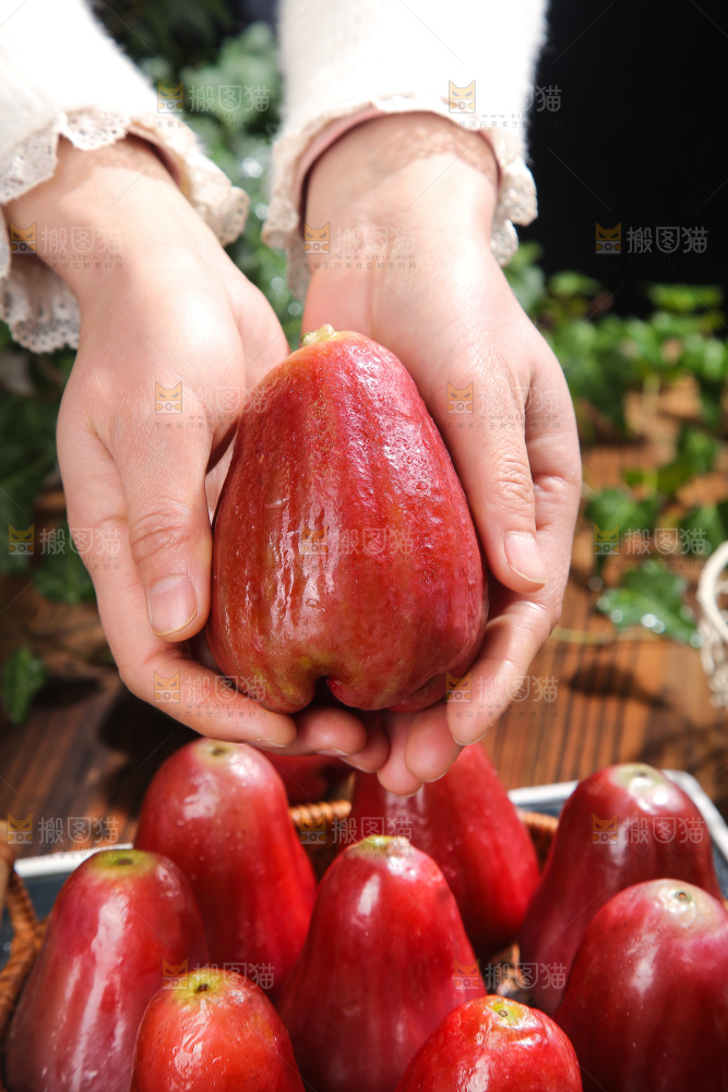 深底上的黑金刚莲雾