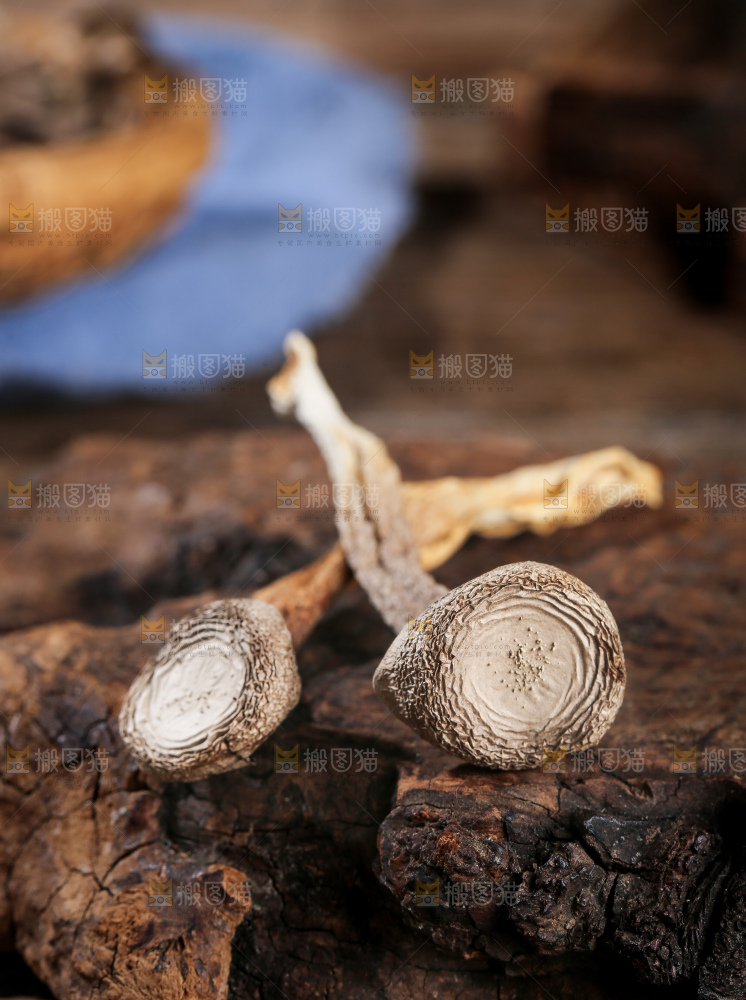 深底上的鹿茸菇