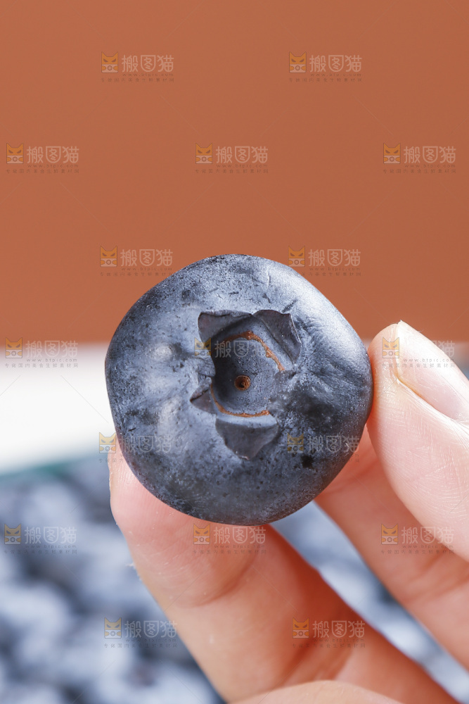 浅底上的新鲜蓝莓
