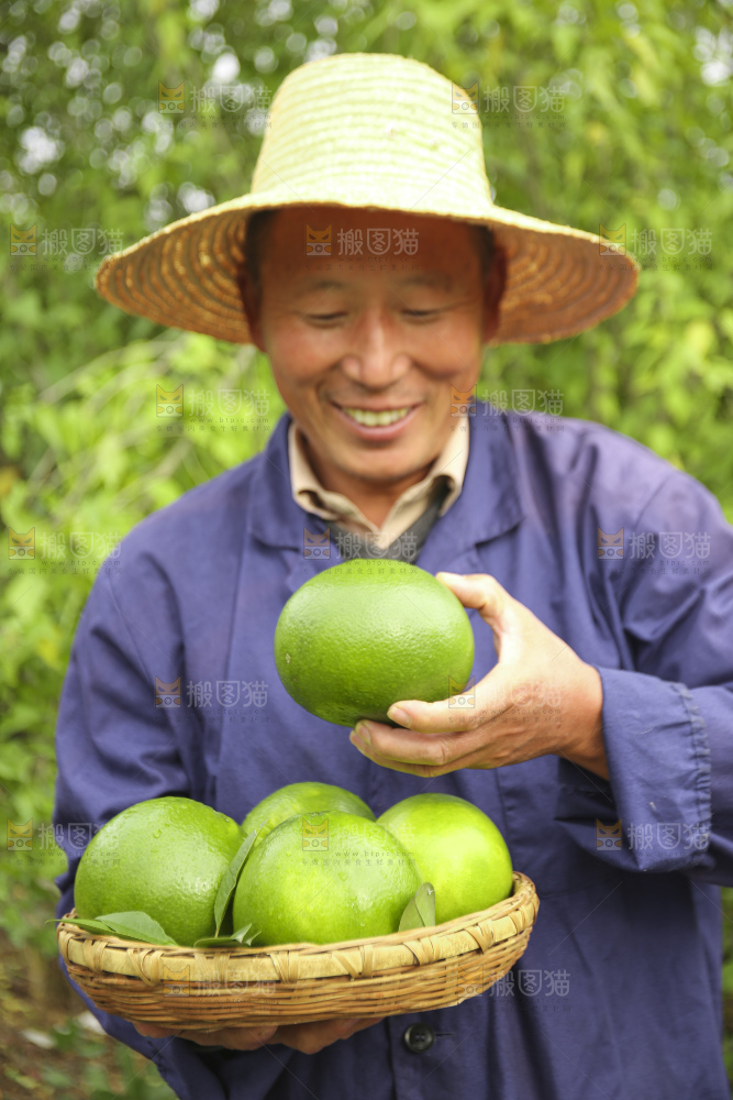 手里拿着青皮葡萄柚