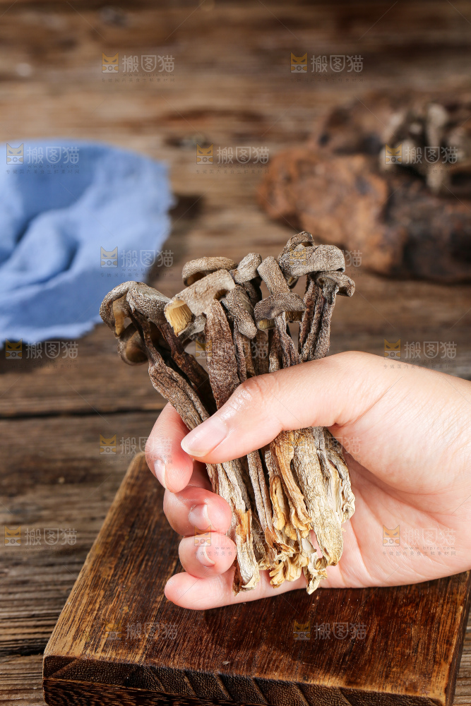 深底上的鹿茸菇