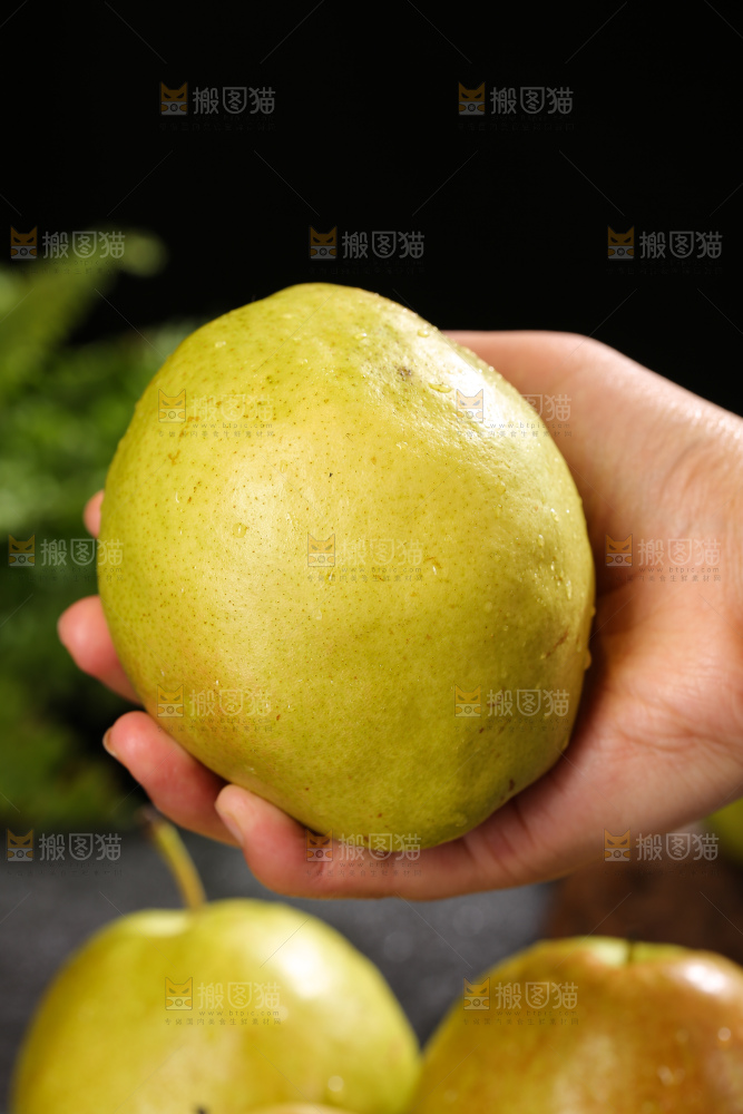 深底上的玉露香梨