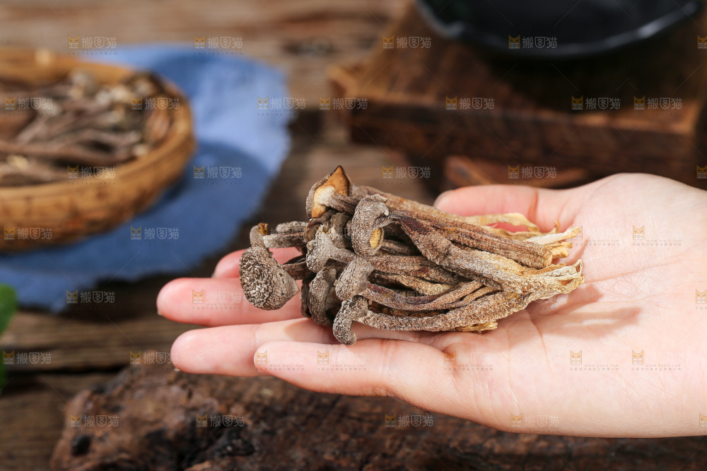 深底上的鹿茸菇