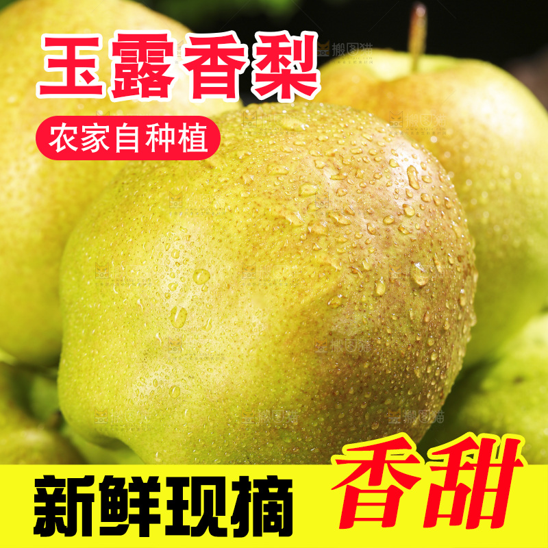 深底上的玉露香梨
