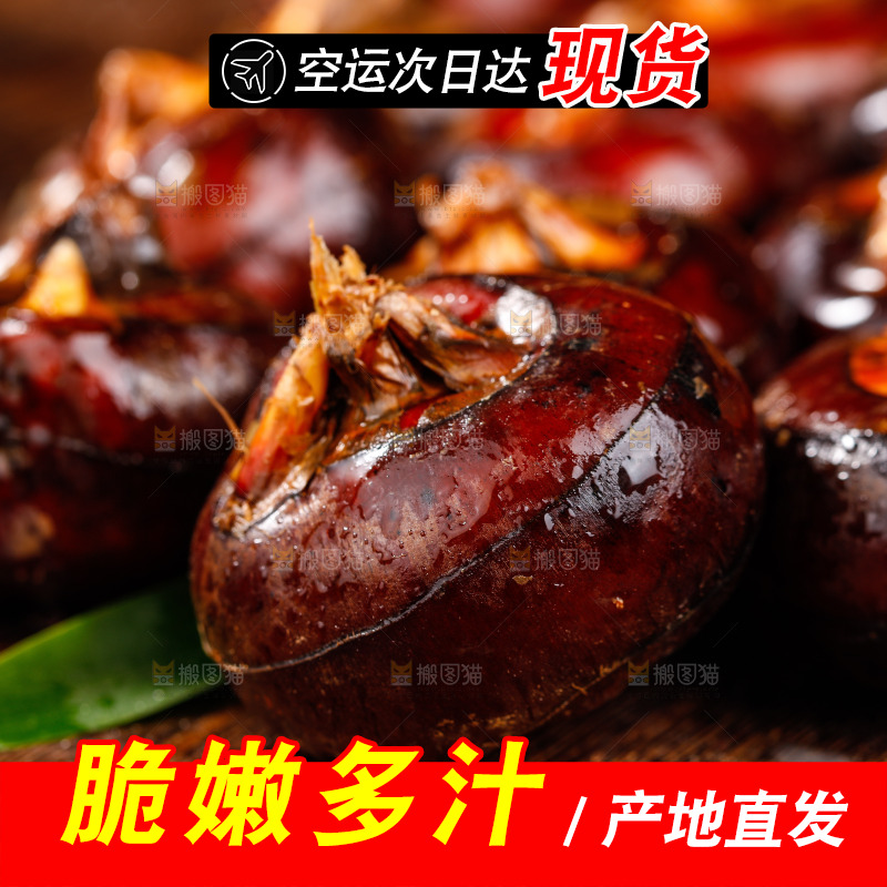 深底上的广西荔浦马蹄
