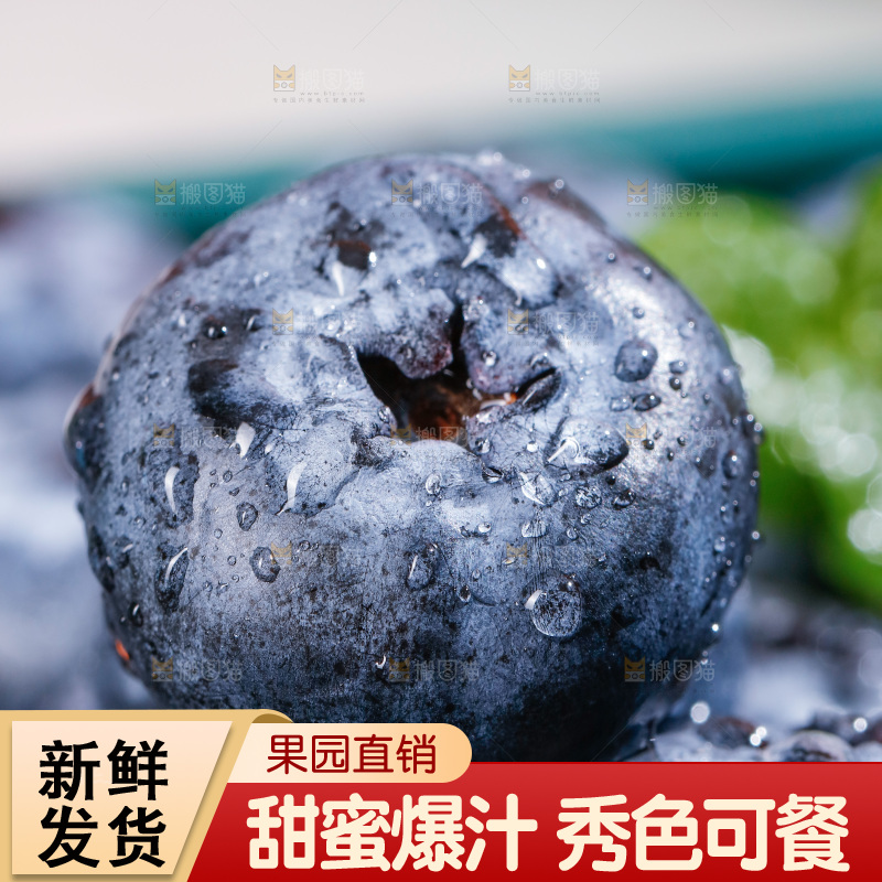 浅底上的新鲜蓝莓