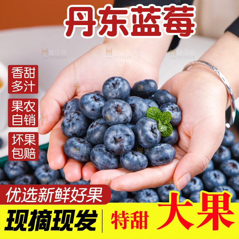 浅底上的新鲜蓝莓