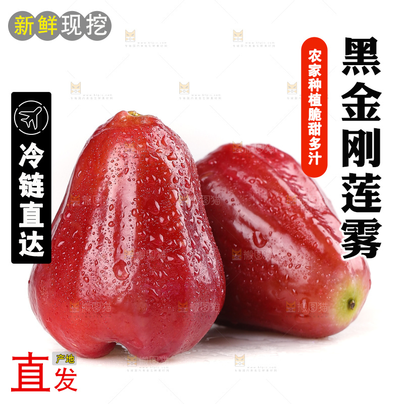 白底上的黑金刚莲雾