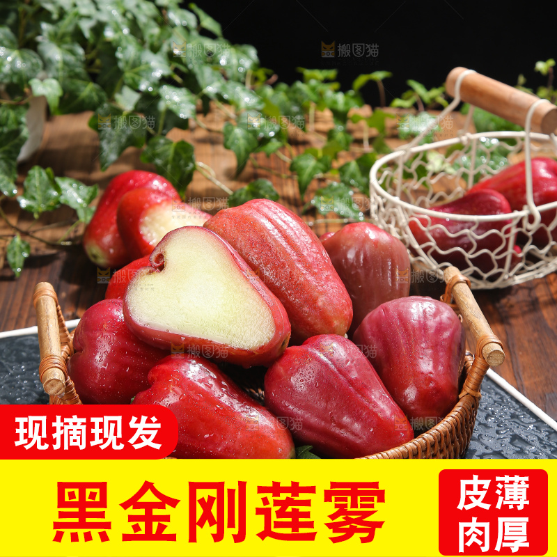 深底上的黑金刚莲雾