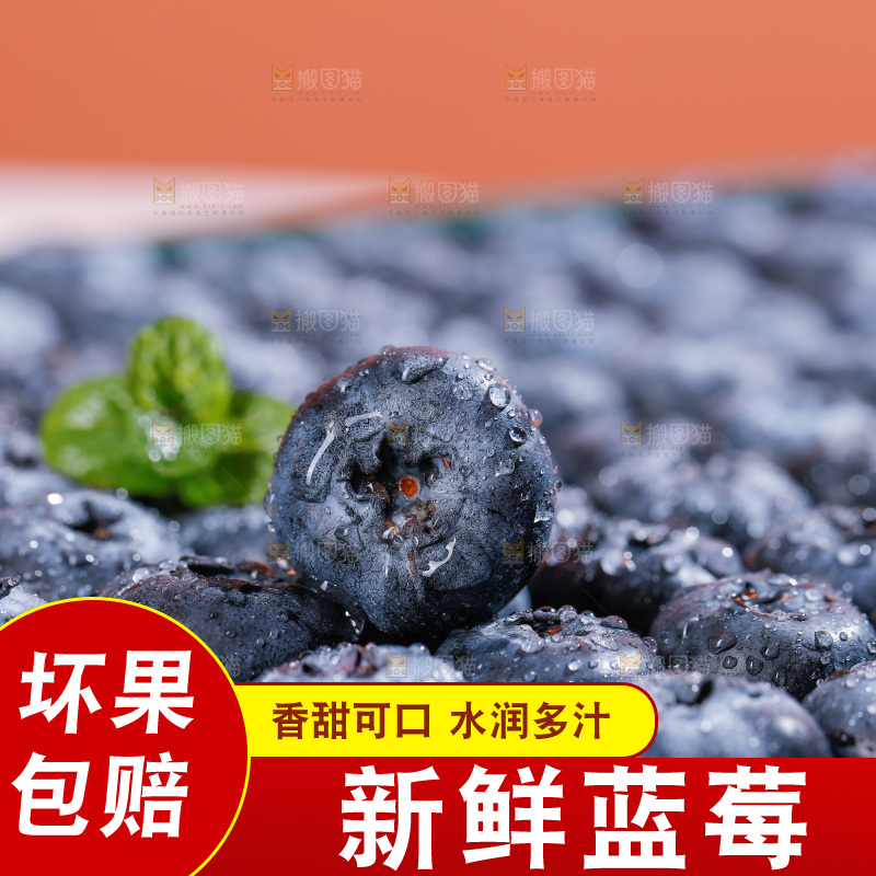 浅底上的新鲜蓝莓