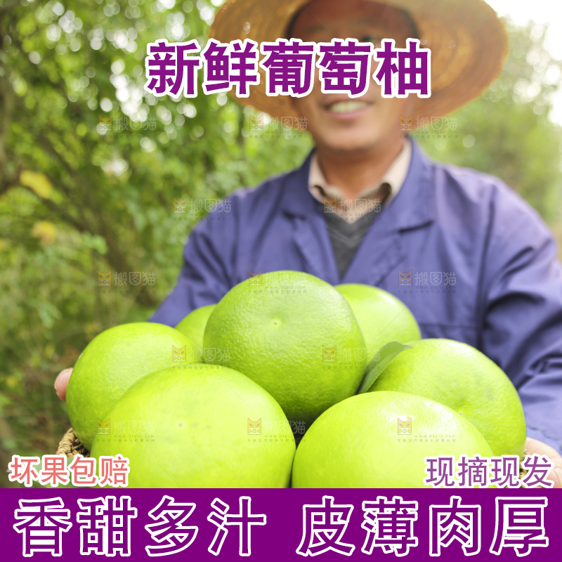 手里拿着青皮葡萄柚