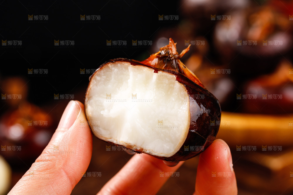 深底上的广西荔浦马蹄