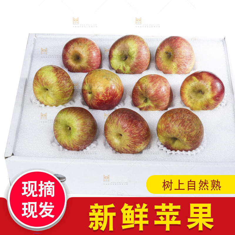 白底上的丑苹果