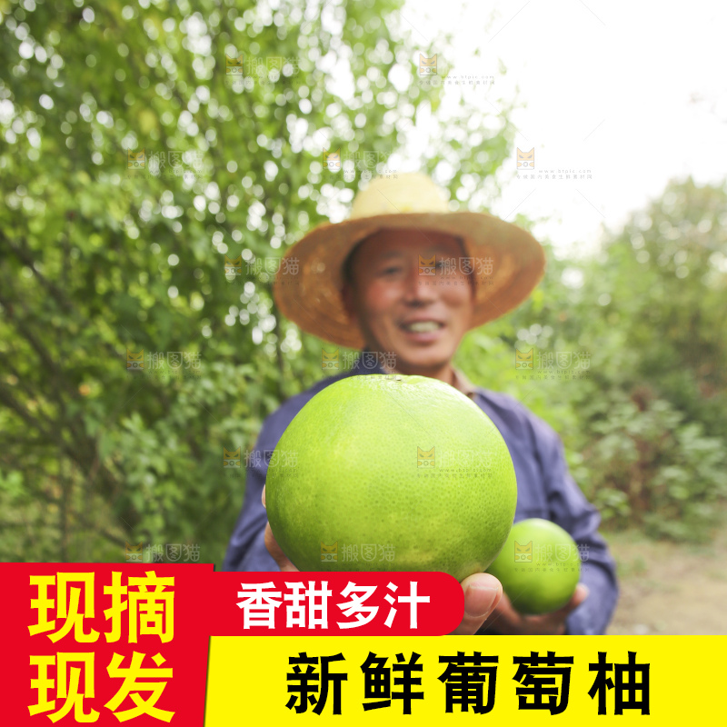 手里拿着青皮葡萄柚