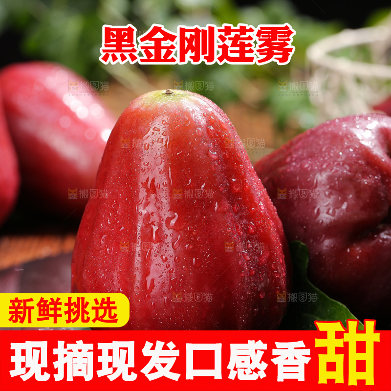 深底上的黑金刚莲雾