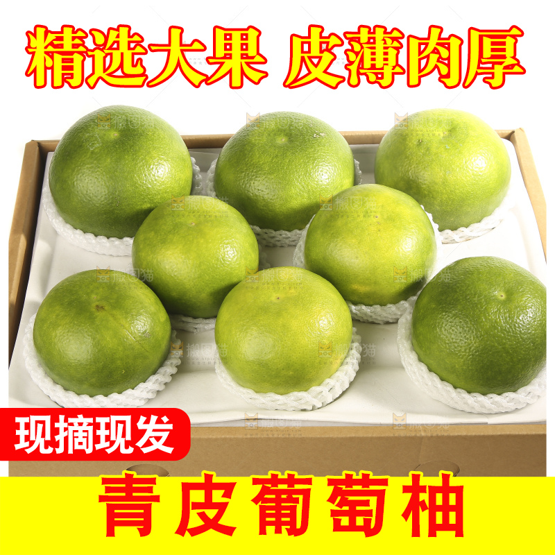 白底上的青皮葡萄柚