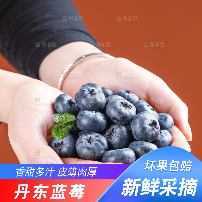 浅底上的新鲜蓝莓