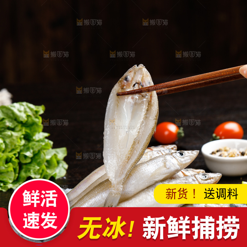 深底上的沙丁鱼